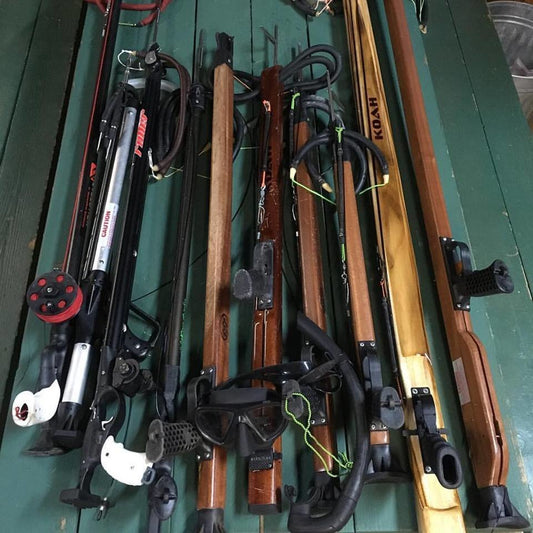 Speargun & Spear Pole Target Practice