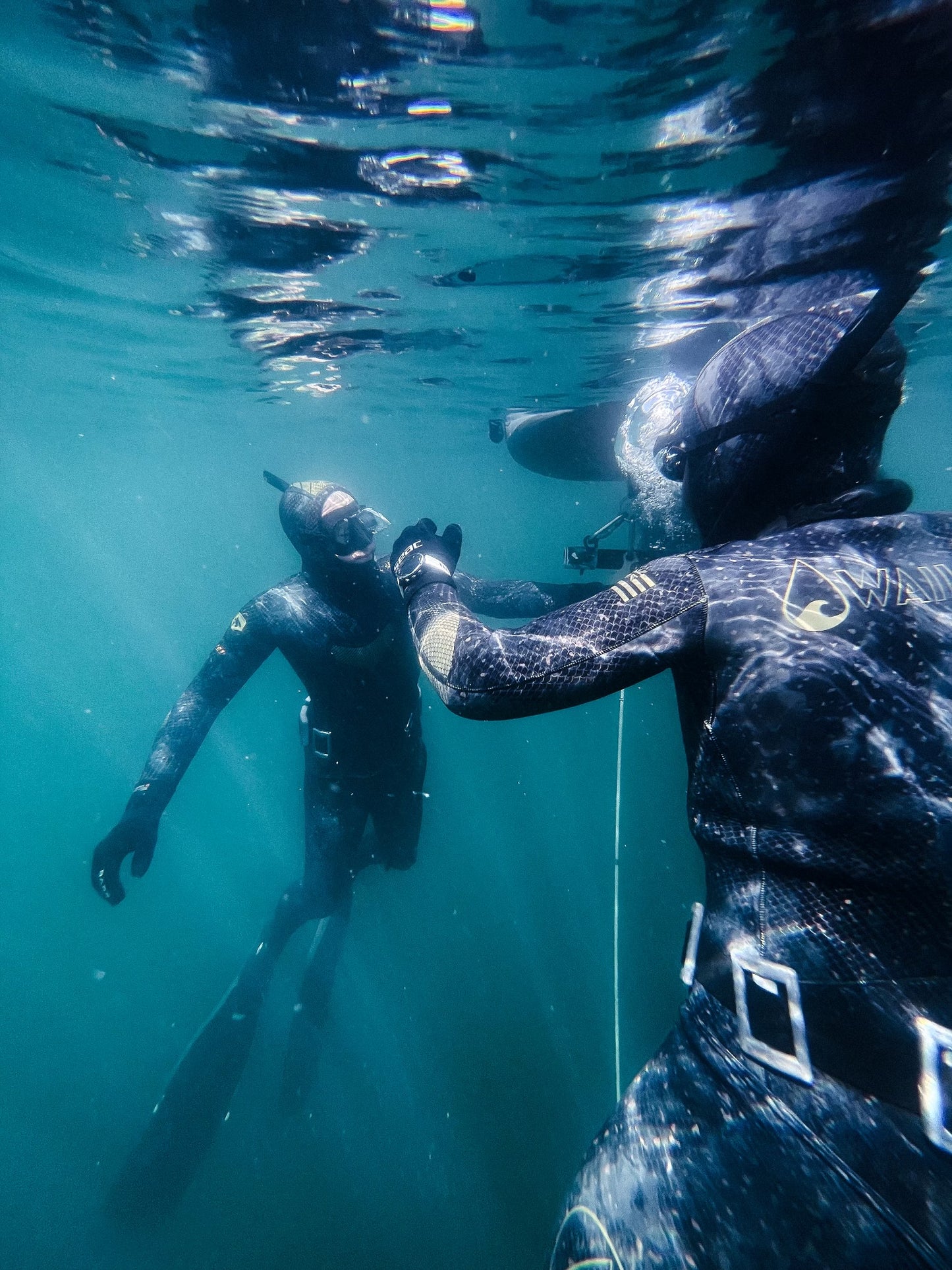 Intermediate Freediver