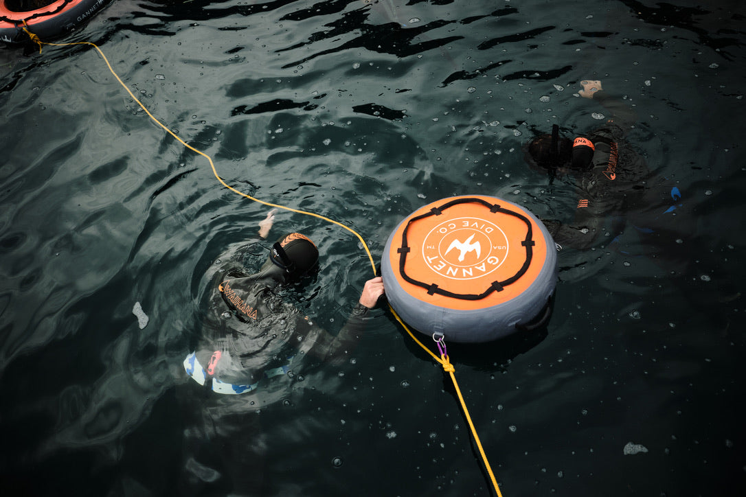 Freediver + Mental Health Resiliency Puerto Vallarta