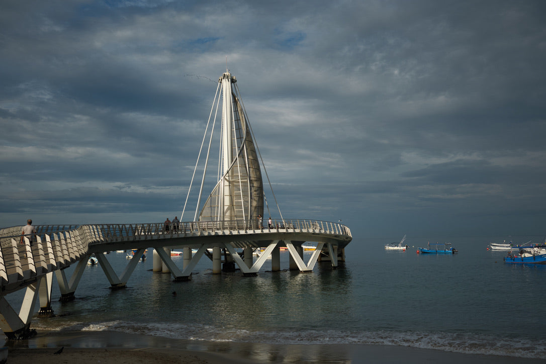 Freediver + Mental Health Resiliency Puerto Vallarta