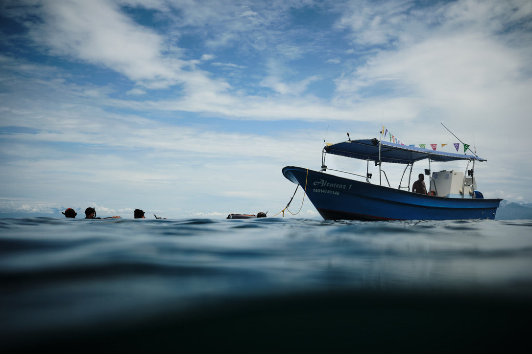 Freediver + Mental Health Resiliency Puerto Vallarta